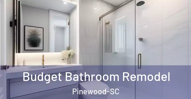 inner Bathroom imggen Budget Bathroom Remodel Pinewood-SC