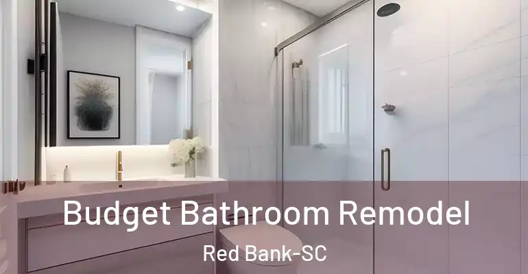 inner Bathroom imggen Budget Bathroom Remodel Red Bank-SC