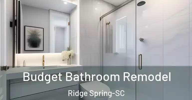 inner Bathroom imggen Budget Bathroom Remodel Ridge Spring-SC
