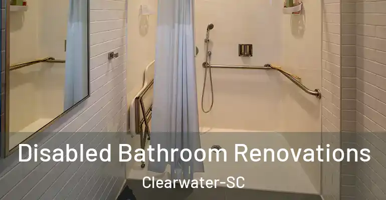 inner Bathroom imggen Disabled Bathroom Renovations Clearwater-SC