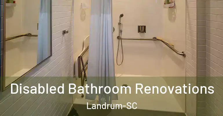 inner Bathroom imggen Disabled Bathroom Renovations Landrum-SC