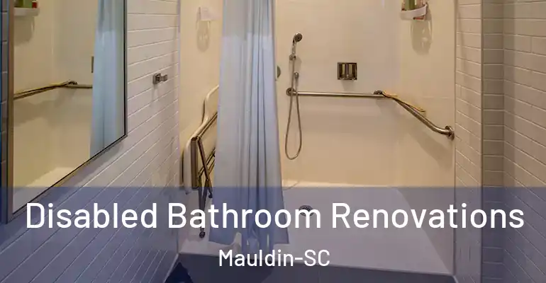 inner Bathroom imggen Disabled Bathroom Renovations Mauldin-SC