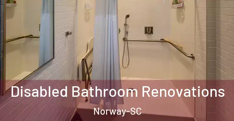 inner Bathroom imggen Disabled Bathroom Renovations Norway-SC