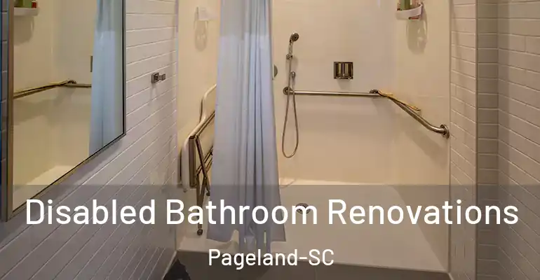 inner Bathroom imggen Disabled Bathroom Renovations Pageland-SC