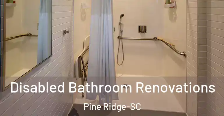inner Bathroom imggen Disabled Bathroom Renovations Pine Ridge-SC