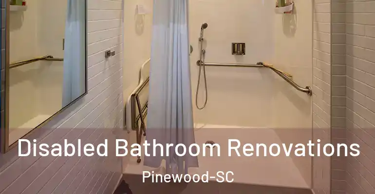 inner Bathroom imggen Disabled Bathroom Renovations Pinewood-SC
