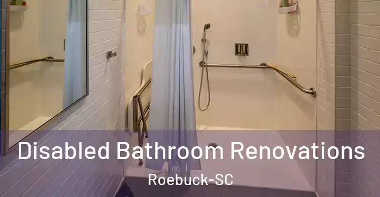 inner Bathroom imggen Disabled Bathroom Renovations Roebuck-SC
