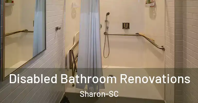 inner Bathroom imggen Disabled Bathroom Renovations Sharon-SC
