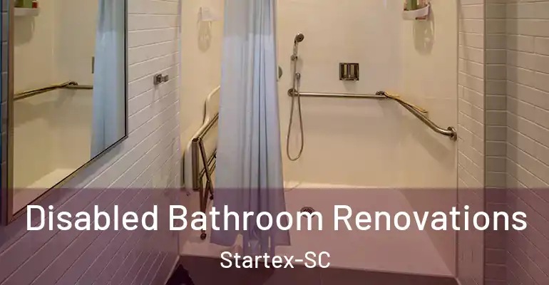 inner Bathroom imggen Disabled Bathroom Renovations Startex-SC