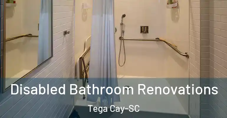 inner Bathroom imggen Disabled Bathroom Renovations Tega Cay-SC