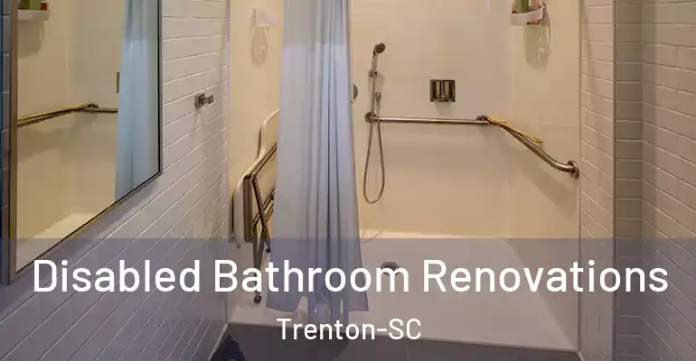 inner Bathroom imggen Disabled Bathroom Renovations Trenton-SC