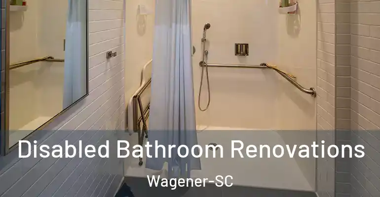inner Bathroom imggen Disabled Bathroom Renovations Wagener-SC