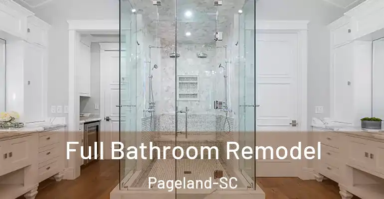 inner Bathroom imggen Full Bathroom Remodel Pageland-SC