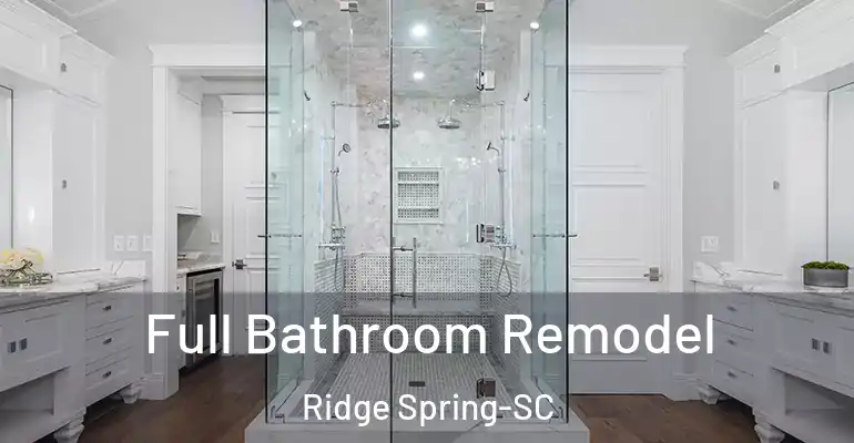 inner Bathroom imggen Full Bathroom Remodel Ridge Spring-SC