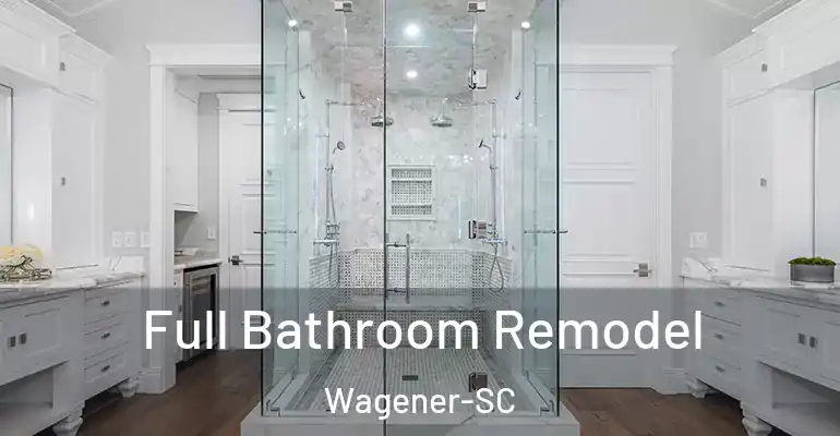 inner Bathroom imggen Full Bathroom Remodel Wagener-SC