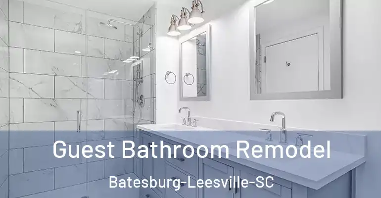 inner Bathroom imggen Guest Bathroom Remodel Batesburg-Leesville-SC
