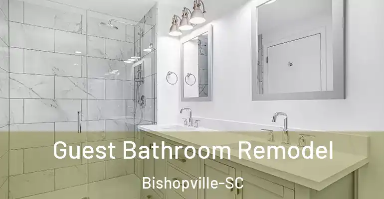 inner Bathroom imggen Guest Bathroom Remodel Bishopville-SC
