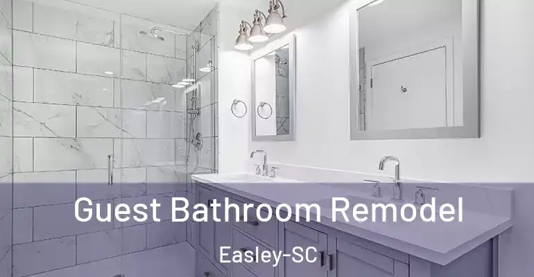 inner Bathroom imggen Guest Bathroom Remodel Easley-SC