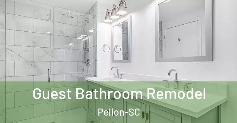 inner Bathroom imggen Guest Bathroom Remodel Pelion-SC