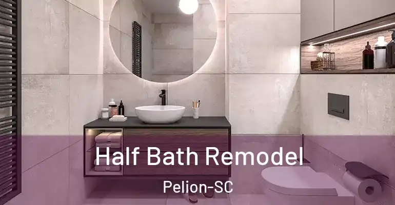 inner Bathroom imggen Half Bath Remodel Pelion-SC