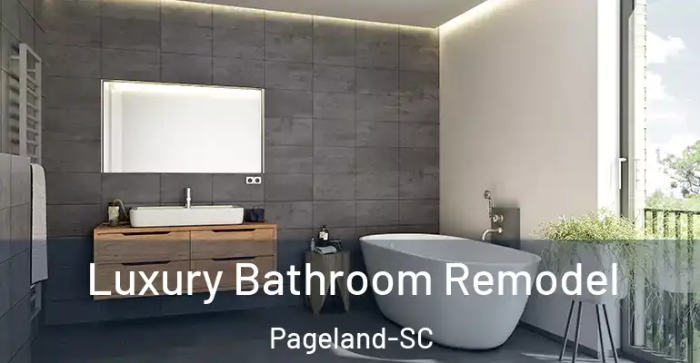 inner Bathroom imggen Luxury Bathroom Remodel Pageland-SC