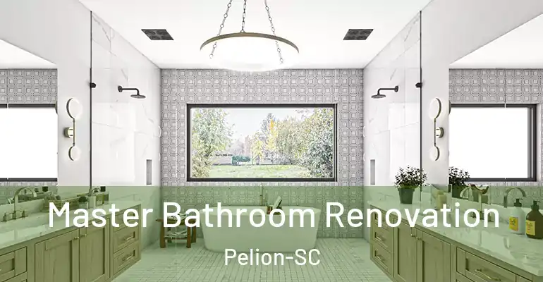 inner Bathroom imggen Master Bathroom Renovation Pelion-SC