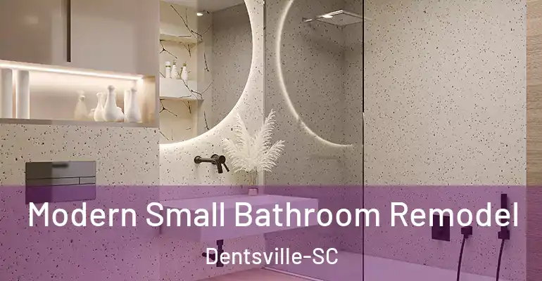inner Bathroom imggen Modern Small Bathroom Remodel Dentsville-SC