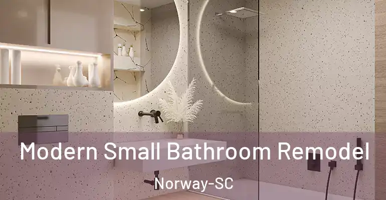 inner Bathroom imggen Modern Small Bathroom Remodel Norway-SC