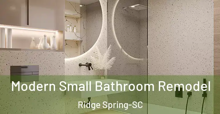 inner Bathroom imggen Modern Small Bathroom Remodel Ridge Spring-SC