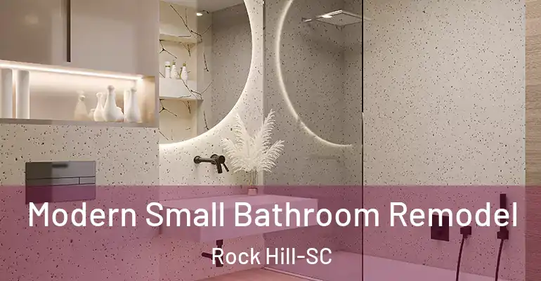 inner Bathroom imggen Modern Small Bathroom Remodel Rock Hill-SC