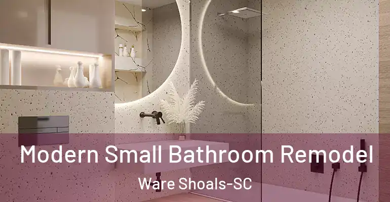 inner Bathroom imggen Modern Small Bathroom Remodel Ware Shoals-SC