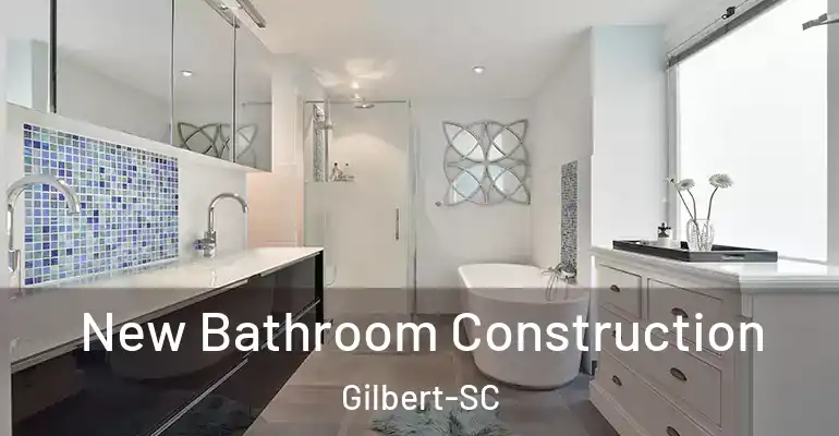 inner Bathroom imggen New Bathroom Construction Gilbert-SC