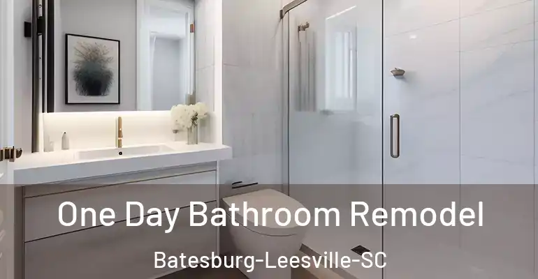inner Bathroom imggen One Day Bathroom Remodel Batesburg-Leesville-SC