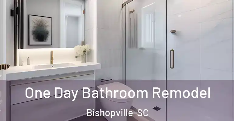 inner Bathroom imggen One Day Bathroom Remodel Bishopville-SC