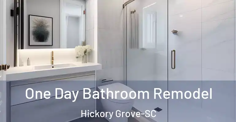 inner Bathroom imggen One Day Bathroom Remodel Hickory Grove-SC