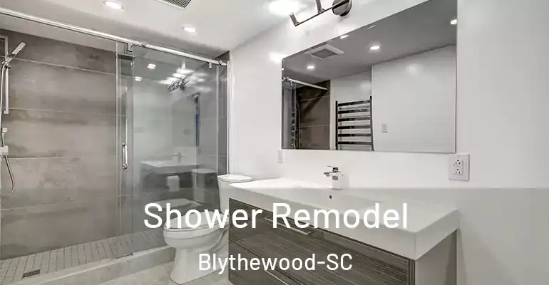 inner Bathroom imggen Shower Remodel Blythewood-SC