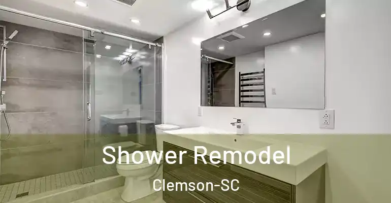 inner Bathroom imggen Shower Remodel Clemson-SC