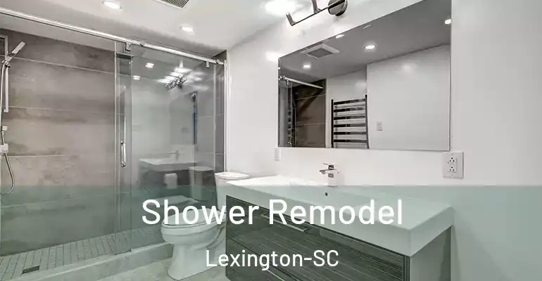inner Bathroom imggen Shower Remodel Lexington-SC