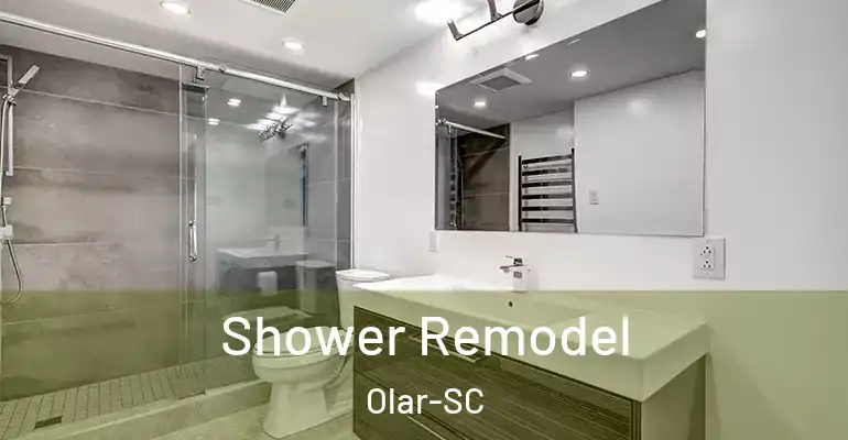 inner Bathroom imggen Shower Remodel Olar-SC