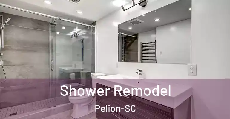 inner Bathroom imggen Shower Remodel Pelion-SC