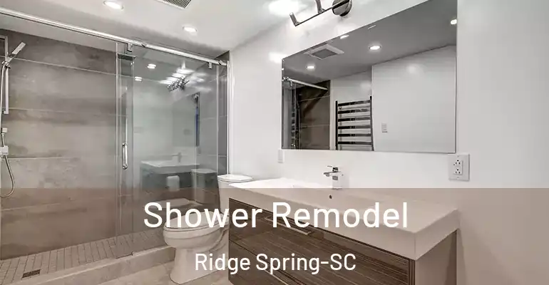 inner Bathroom imggen Shower Remodel Ridge Spring-SC