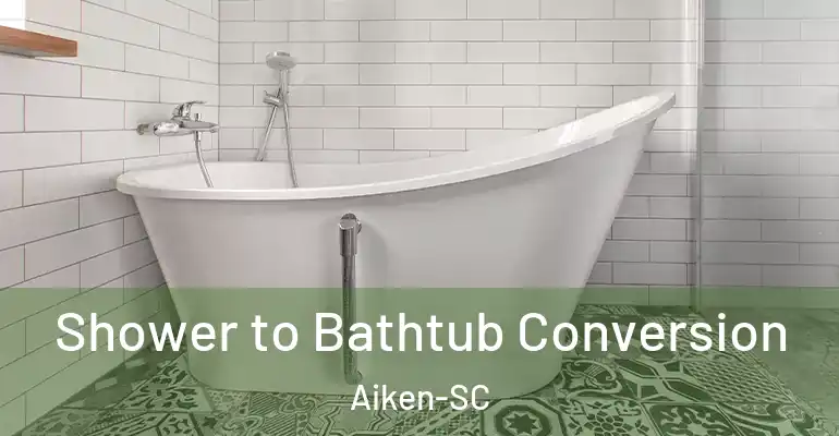 inner Bathroom imggen Shower to Bathtub Conversion Aiken-SC