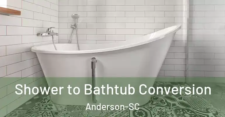 inner Bathroom imggen Shower to Bathtub Conversion Anderson-SC