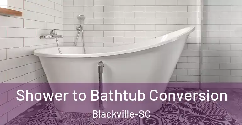 inner Bathroom imggen Shower to Bathtub Conversion Blackville-SC