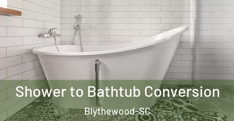 inner Bathroom imggen Shower to Bathtub Conversion Blythewood-SC