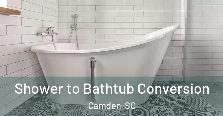 inner Bathroom imggen Shower to Bathtub Conversion Camden-SC