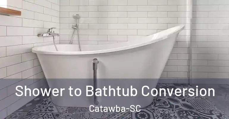 inner Bathroom imggen Shower to Bathtub Conversion Catawba-SC