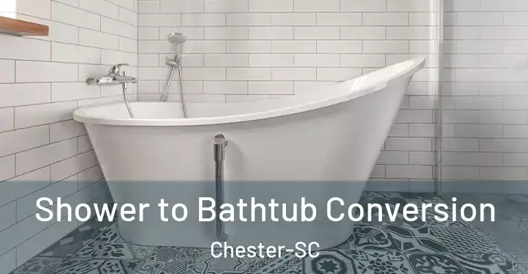 inner Bathroom imggen Shower to Bathtub Conversion Chester-SC