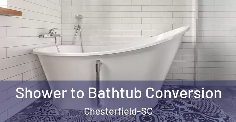 inner Bathroom imggen Shower to Bathtub Conversion Chesterfield-SC