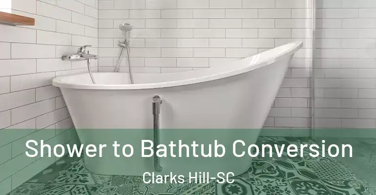 inner Bathroom imggen Shower to Bathtub Conversion Clarks Hill-SC